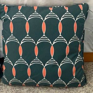 2 pillows from Serena and lily